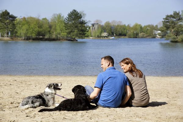 Urlaub mit Hund: Bei Center Parcs kein Problem