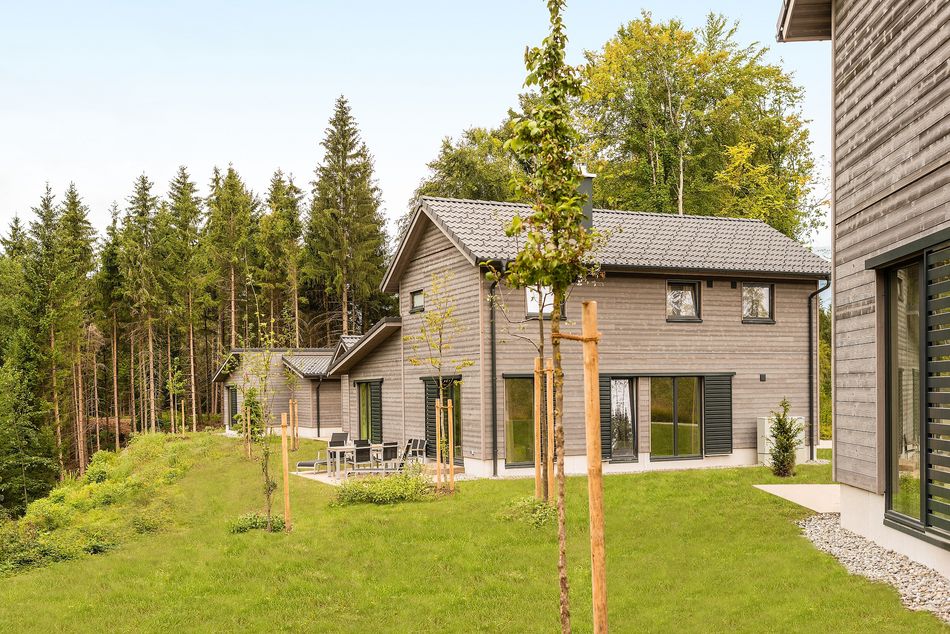 In Center Parcs Park Allgäu wurden Tausende Bäume gepflanzt