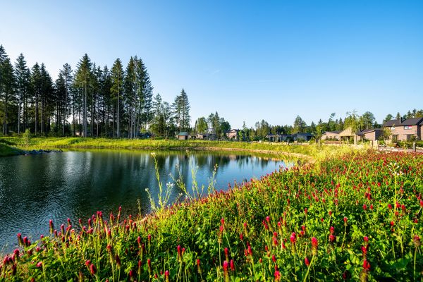 Geheimtipp winterwandern leichte wanderung Rundwanderwege wandern mit Kindern Hund erlebniswandern