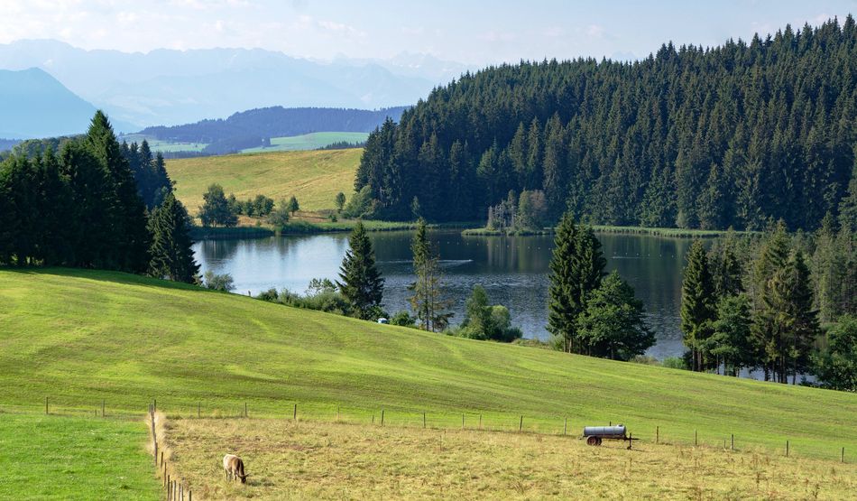 Das idyllische Allgäu