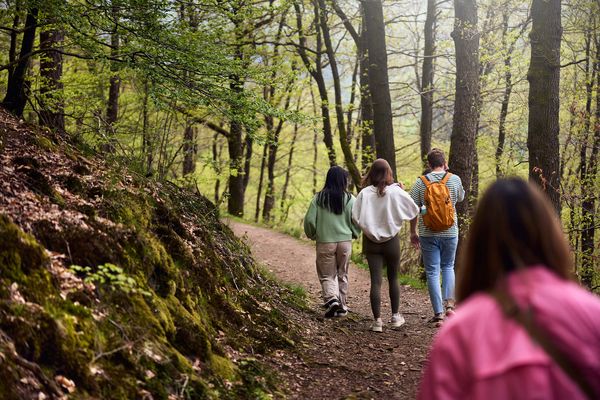 Geheimtipp winterwandern leichte wanderung Rundwanderwege wandern mit Kindern Hund erlebniswandern