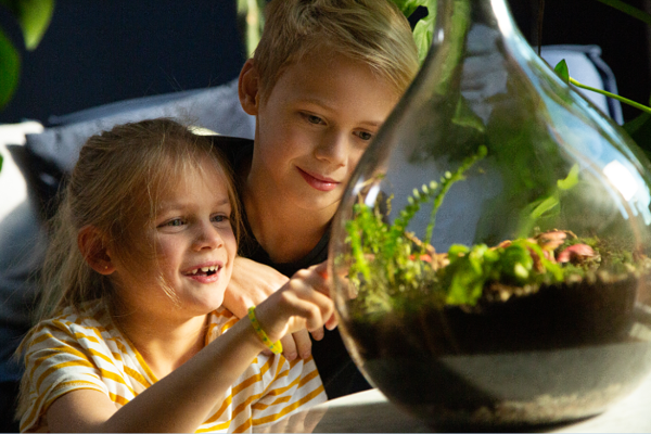 Erschaffen Sie Ihren eigenen Mini-Jungle Dome