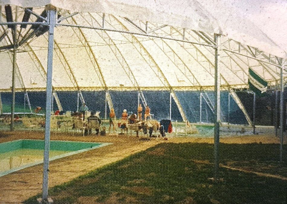 Das erste Center Parcs-Schwimmbad in De Lommerbergen 1968