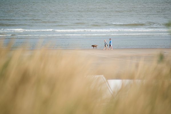 Karte ohne Leinenzwang Zeeland ganzjährig Nordsee Zandvoort Ouddorp