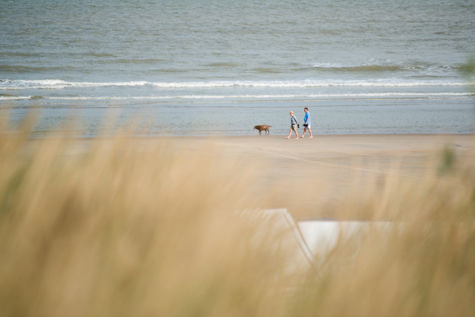Karte ohne Leinenzwang Zeeland ganzjährig Nordsee Zandvoort Ouddorp