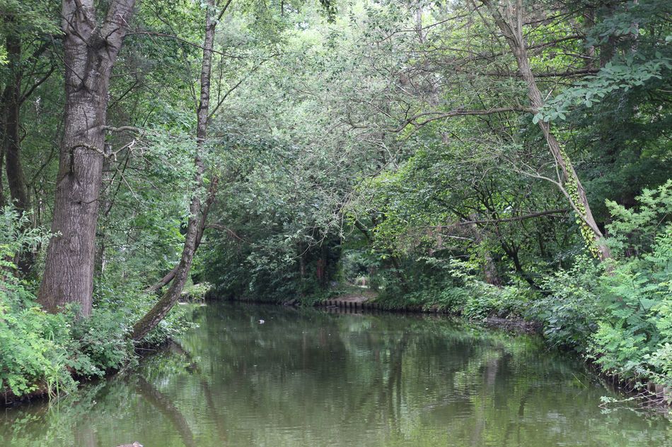 nature