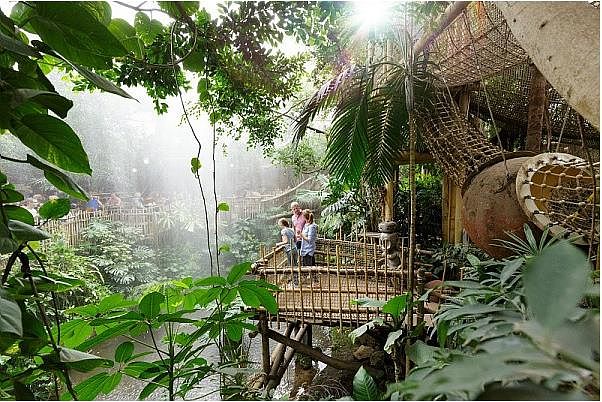 Jungle Dome in Center Parcs Het Heijderbos