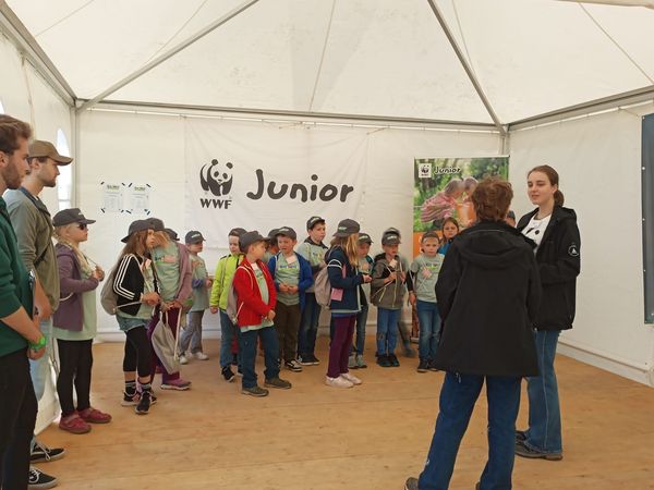 Unser Jahresrückblick mit WWF Junior