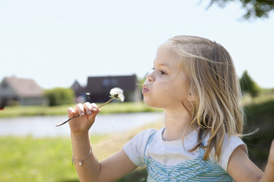 Genießen Sie den Sommer mit der ganzen Familie