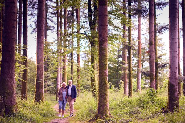Geheimtipp winterwandern leichte wanderung Rundwanderwege wandern mit Kindern Hund erlebniswandern