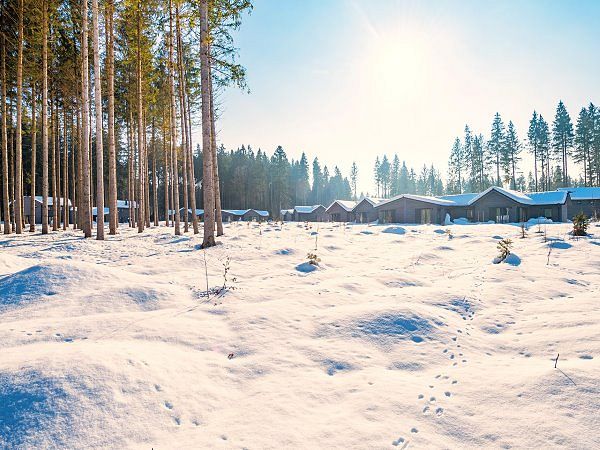 Weitläufige Winternatur entdecken