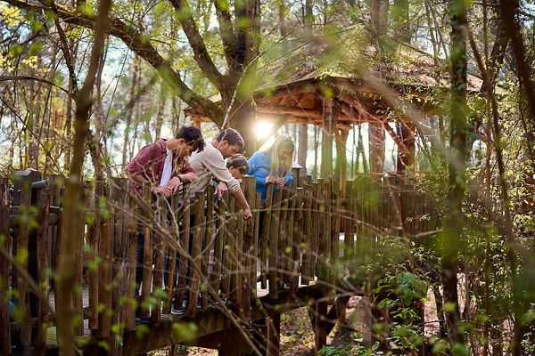Une famille observe la nature depuis une passerelle en bois au cœur d’une forêt, baignée par la lumière du soleil.
