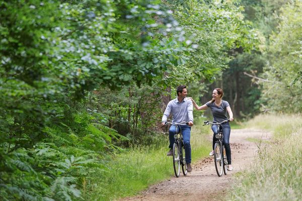 Couple faisant du vélo main dans la main sur un chemin forestier en Normandie, activité romantique en pleine nature en juillet