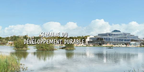 Semaine