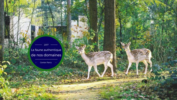 La faune authentique de nos domaines