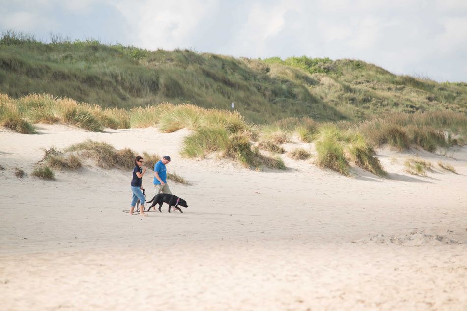Couple marchant avec leur chien sur une plage de sable en Normandie, escapade romantique en pleine nature