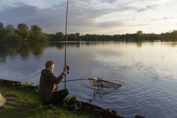 Un homme pêche au bord d’un lac paisible au coucher du soleil, tenant sa canne à pêche tout en ramenant sa prise dans une épuisette. L’ambiance est calme et sereine, propice à la détente en pleine nature.