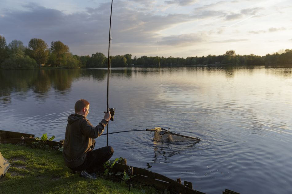 Un homme pêche au bord d’un lac paisible au coucher du soleil, tenant sa canne à pêche tout en ramenant sa prise dans une épuisette. L’ambiance est calme et sereine, propice à la détente en pleine nature.