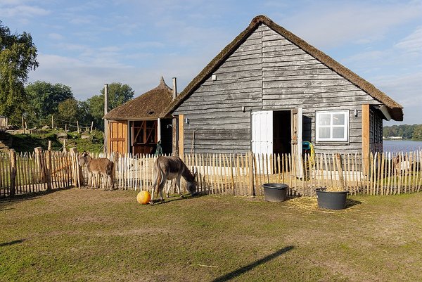 Deux ânes broutent devant une grange en bois entourée d’une petite clôture, sous un ciel bleu et ensoleillé.