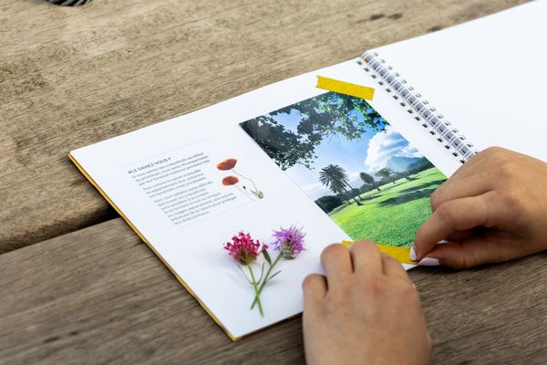 Revivez votre été avec le Summer Journal Center Parcs