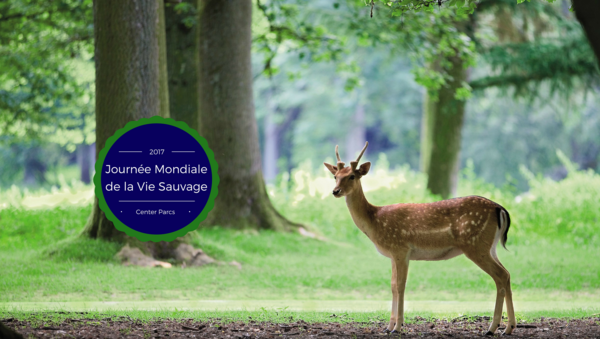 Center Parcs célèbre la Journée mondiale de la vie sauvage
