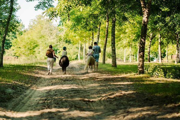 Balade à poney en famille dans la forêt, activité nature pour enfants à Center Parcs