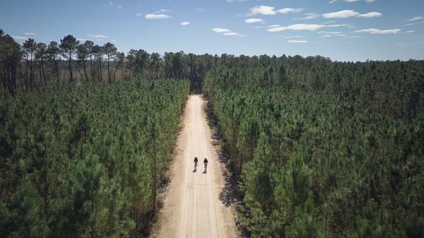 Quelles sont les meilleures randonnées à faire autour des Center Parcs français ?