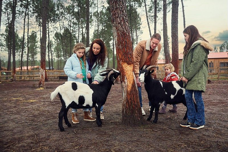 Une famille avec enfants entouré d'animaux