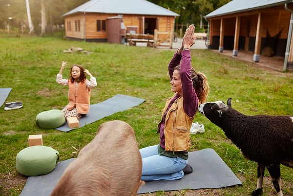 Une femme et une jeune fille pratiquent le yoga en plein air sur des tapis, entourées de chèvres curieuses, devant des cabanes en bois.