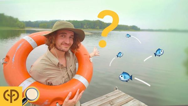 [NOUVELLE VIDEO] Tuto : comment créer un lac ?