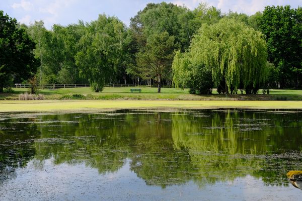 Etangs de Sologne - crédits Patrick de Marteville