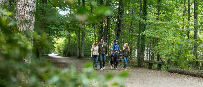 Une famille qui se balade dans la forêt, le fils est sur un poney