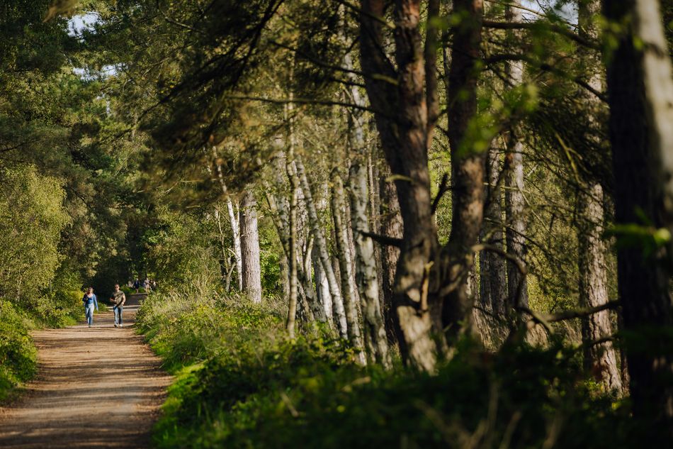 Parc Naturel des Landes de Gascogne