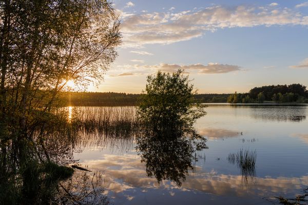 Le Ranger Daniel partage les meilleurs spots nature autour du domaine Les Trois Forêts 