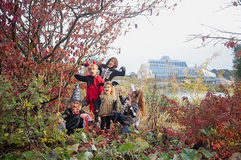 Groupe d’enfants déguisés pour Halloween, posant au milieu de la végétation automnale avec un grand bâtiment en arrière-plan.