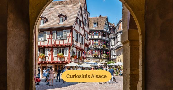 Vin, nature et histoire : 13 sites à découvrir en Alsace