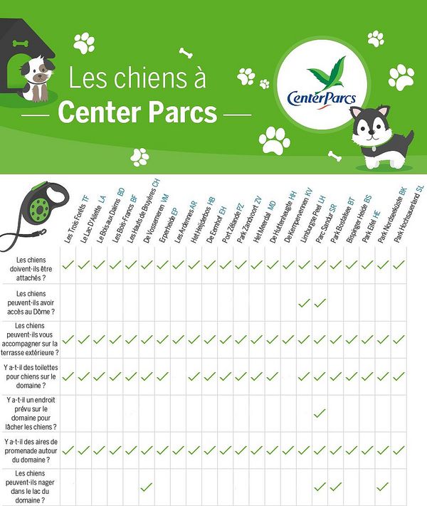 Chiens infographic