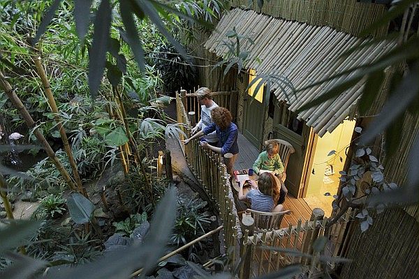 Jungle Dome