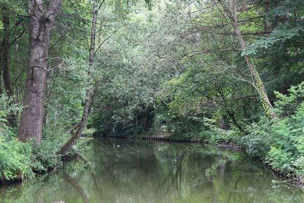 nature