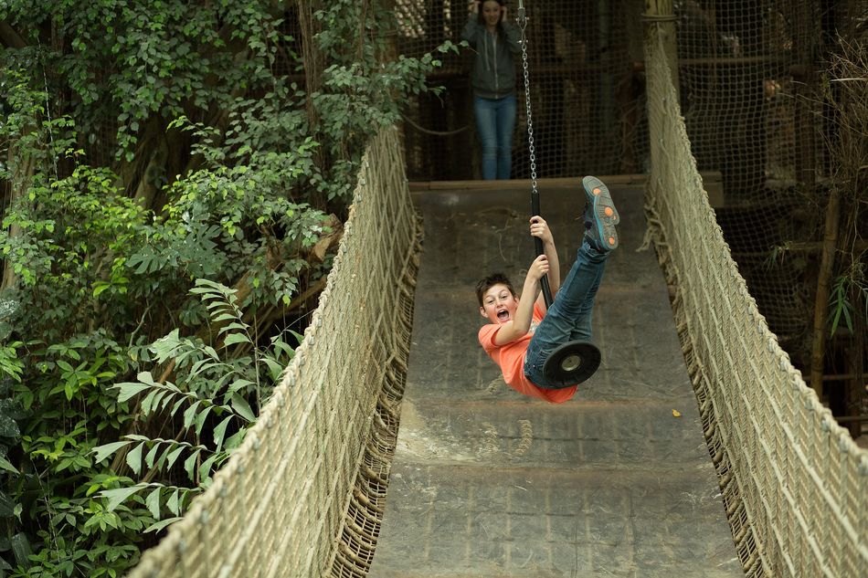 Jungle Dome