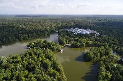 Top 5 des arbres exceptionnels à Center Parcs