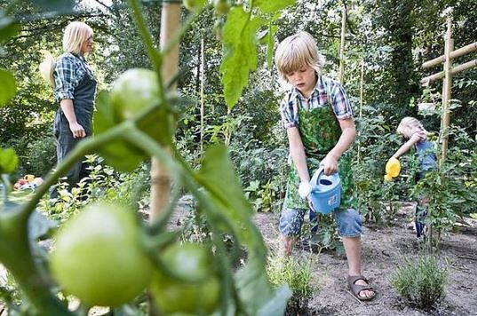 gardening 