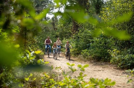 Cycling