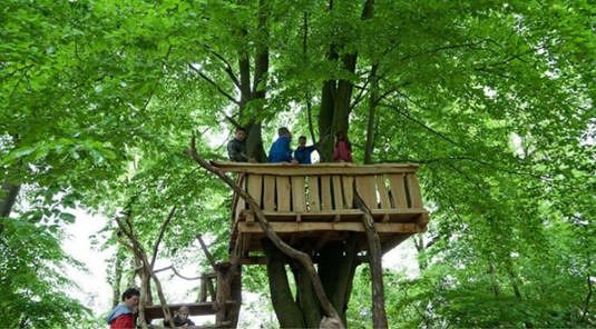 Treehouse