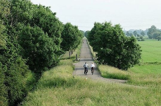 cycling