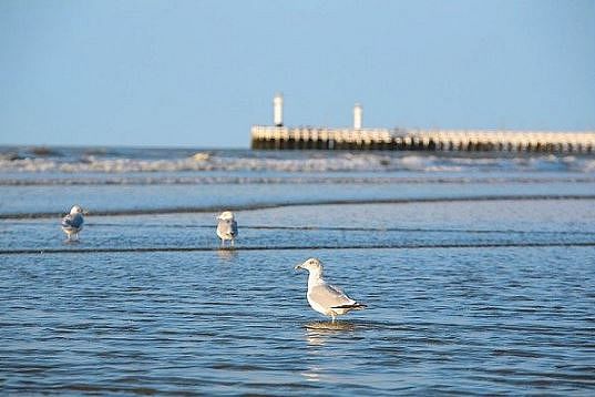 seaside