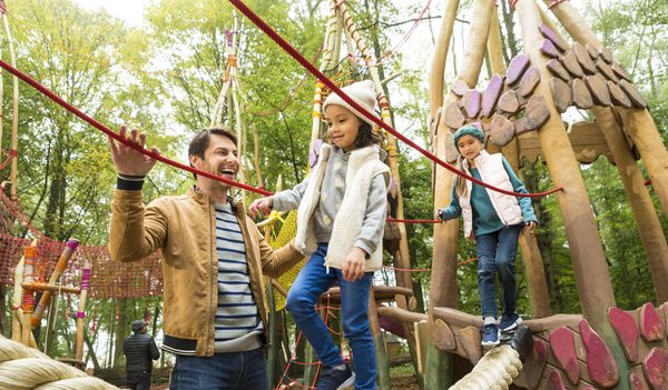 C'est presque le printemps : promenons-nous dans les bois !