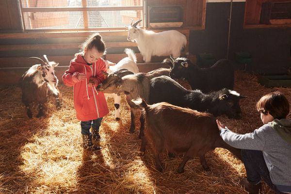 La Ferme pour Enfants