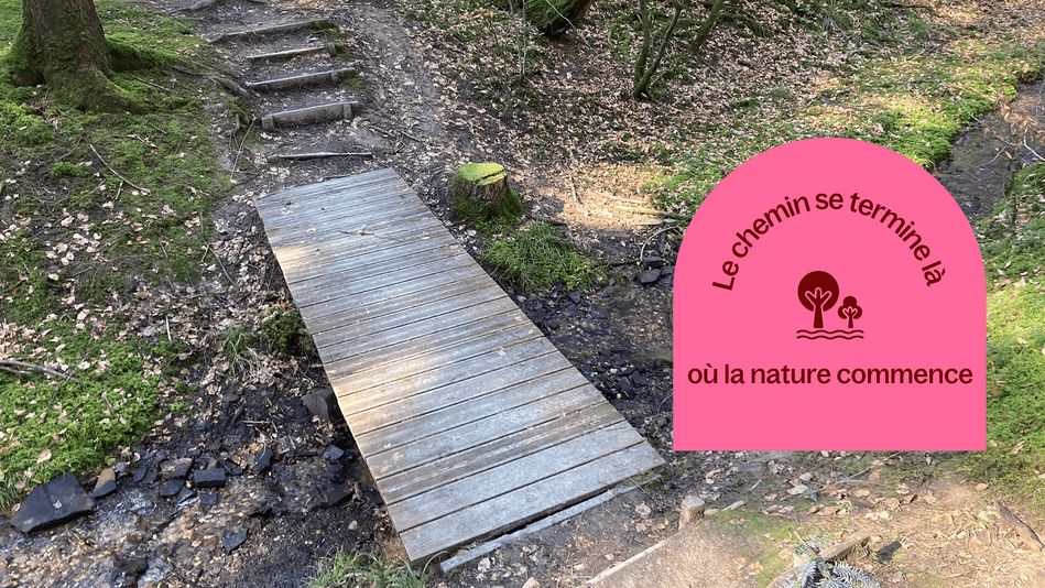 Le chemin Les Trois Forêts