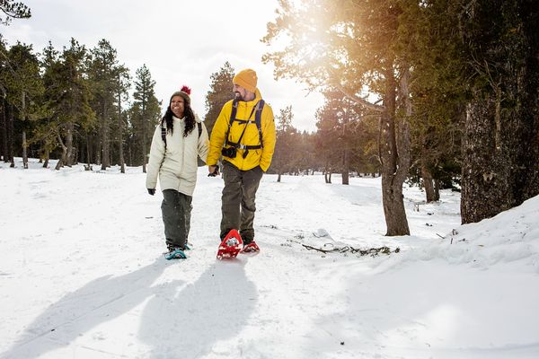 Top 7 des itinéraires de randonnée à Winterberg : Découvrez la nature du Sauerland